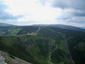 100_9799 (1)